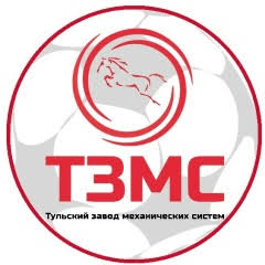 ТЗМС