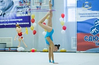 Открытый турнир по художественной и эстетической гимнастике памяти В. Г. Хромина