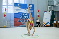 Открытый турнир по художественной и эстетической гимнастике памяти В. Г. Хромина