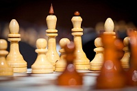 Любители шахмат сражались у Черного моря